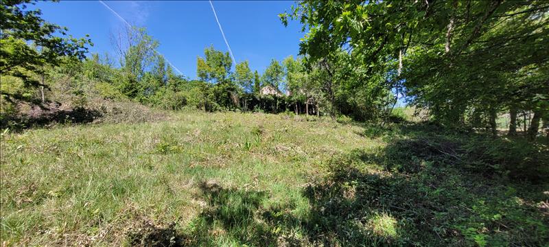 Vente Terrain NONARDS - -4560 m² - (19120)