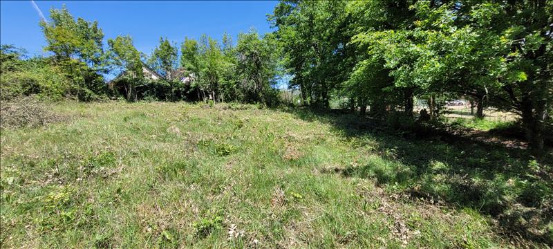 Vente Terrain NONARDS - -4560 m² - (19120)