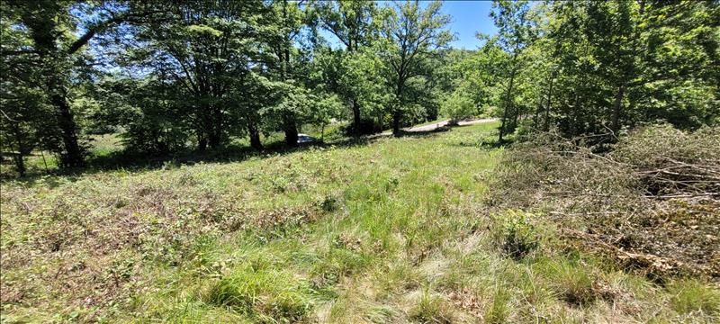 Vente Terrain NONARDS - -4560 m² - (19120)