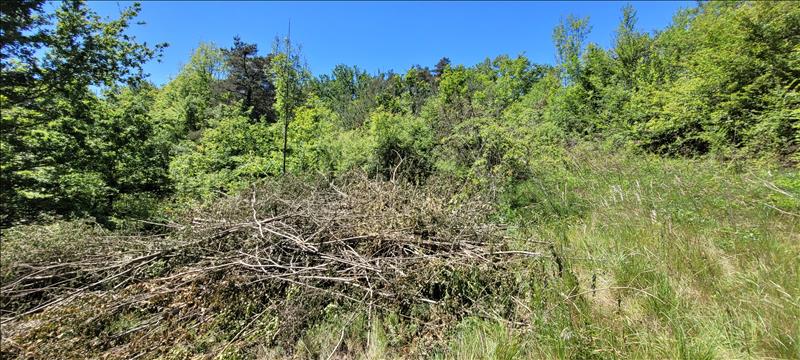 Vente Terrain NONARDS - -4560 m² - (19120)