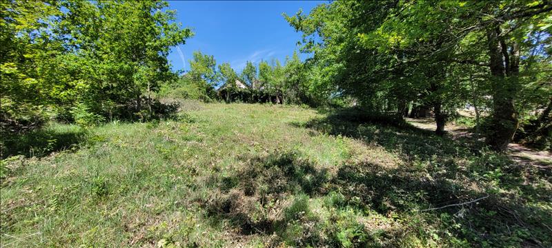 Vente Terrain NONARDS - -4560 m² - (19120)