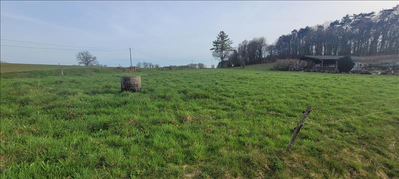 Vente Terrain BASSIGNAC LE BAS - -3000 m² - (19430)