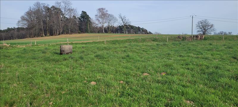 Vente Terrain BASSIGNAC LE BAS - -3000 m² - (19430)