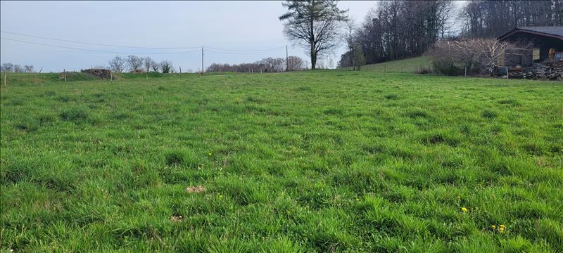 Vente Terrain BASSIGNAC LE BAS - -3000 m² - (19430)