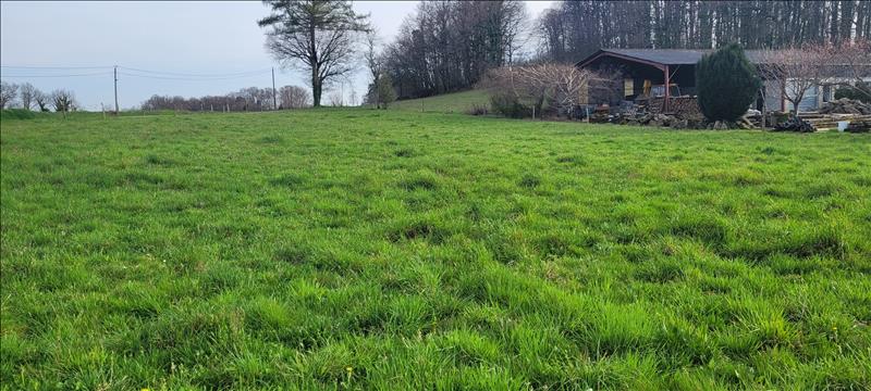 Vente Terrain BASSIGNAC LE BAS - -3000 m² - (19430)