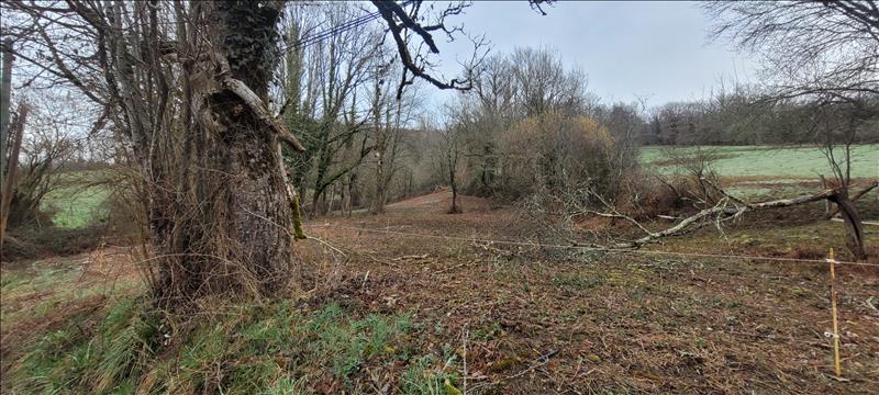 Vente Terrain GAGNAC SUR CERE - -2110 m² - (46130)