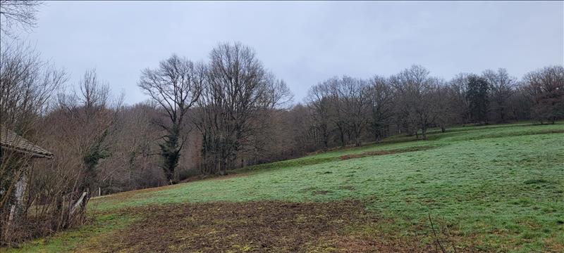 Vente Terrain GAGNAC SUR CERE - -2110 m² - (46130)