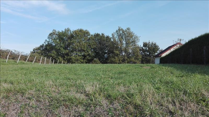Vente Terrain ASTAILLAC - -840 m² - (19120)