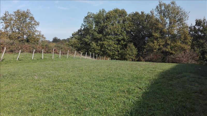 Vente Terrain ASTAILLAC - -840 m² - (19120)