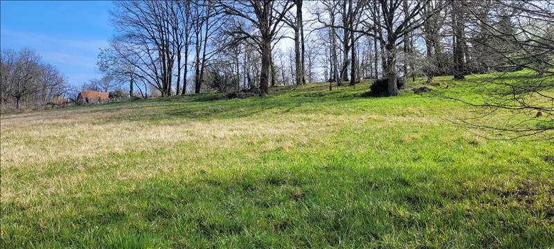 Vente Terrain SIONIAC - -2600 m² - (19120)