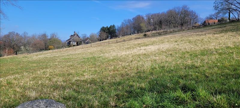 Vente Terrain SIONIAC - -2600 m² - (19120)