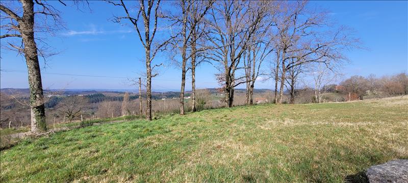 Vente Terrain SIONIAC - -2600 m² - (19120)