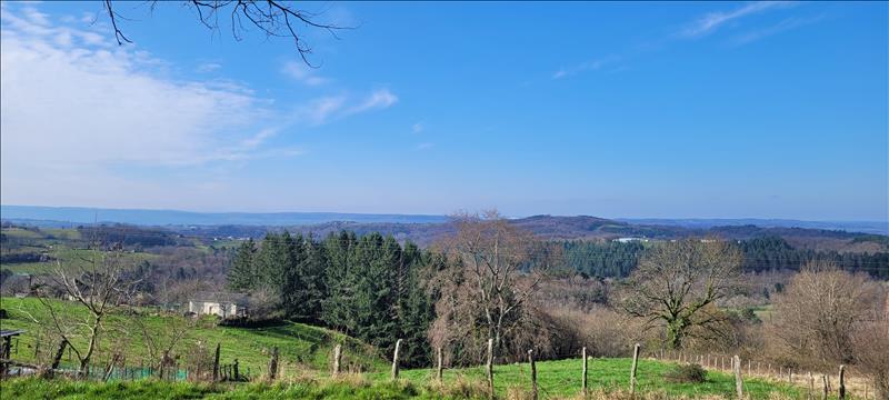 Vente Terrain SIONIAC - -2600 m² - (19120)