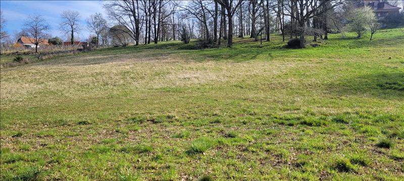 Vente Terrain SIONIAC - -2600 m² - (19120)