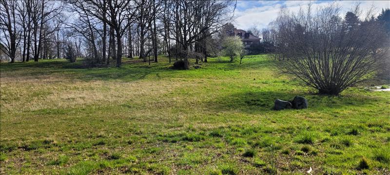 Vente Terrain SIONIAC - -2600 m² - (19120)
