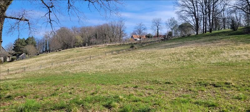Vente Terrain SIONIAC - -2600 m² - (19120)