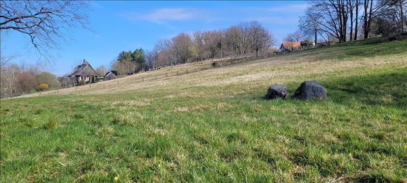 Vente Terrain SIONIAC - -2600 m² - (19120)