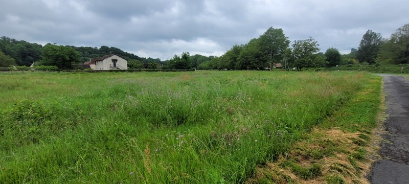 Vente Terrain ALTILLAC - -2451 m² - (19120)