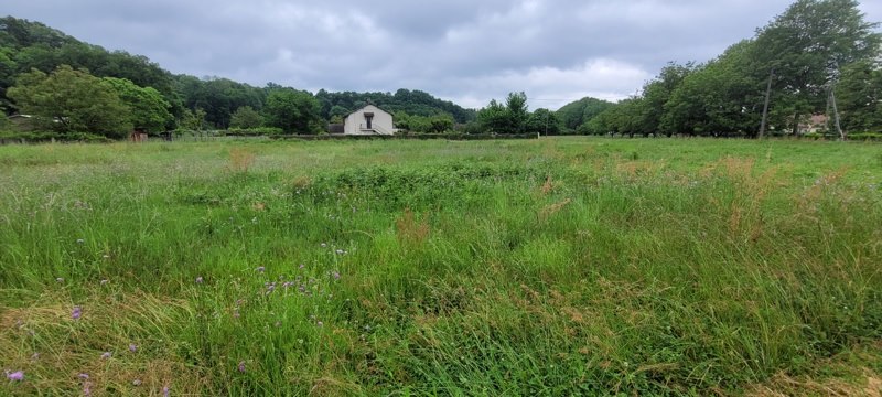 Vente Terrain ALTILLAC - -2451 m² - (19120)