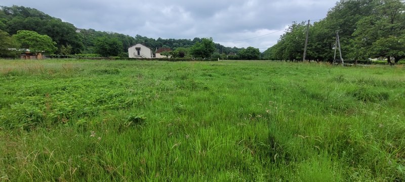 Vente Terrain ALTILLAC - -2451 m² - (19120)