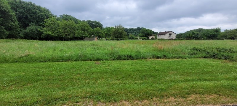 Vente Terrain ALTILLAC - -2462 m² - (19120)