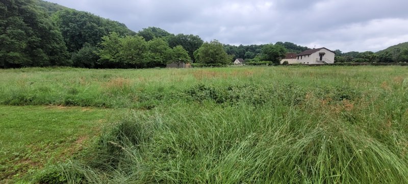 Vente Terrain ALTILLAC - -2462 m² - (19120)
