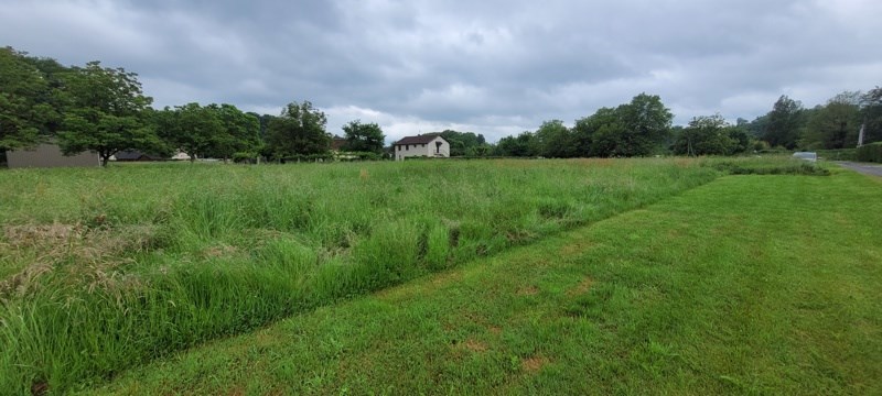 Vente Terrain ALTILLAC - -2462 m² - (19120)