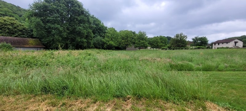 Vente Terrain ALTILLAC - -2457 m² - (19120)