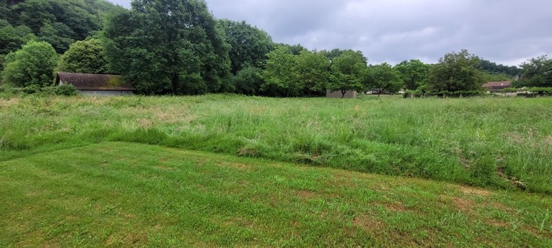 Vente Terrain ALTILLAC - -2457 m² - (19120)