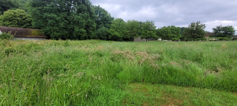 Vente Terrain ALTILLAC - -2457 m² - (19120)