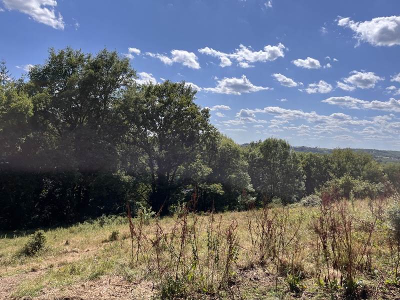 Vente Terrain ALTILLAC - -2800 m² - (19120)
