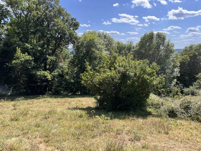 Vente Terrain ALTILLAC - -2800 m² - (19120)