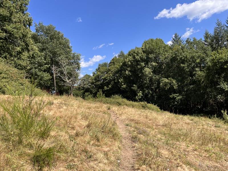 Vente Terrain ALTILLAC - -2800 m² - (19120)