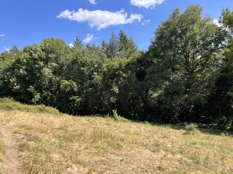 Vente Terrain ALTILLAC - -2800 m² - (19120)