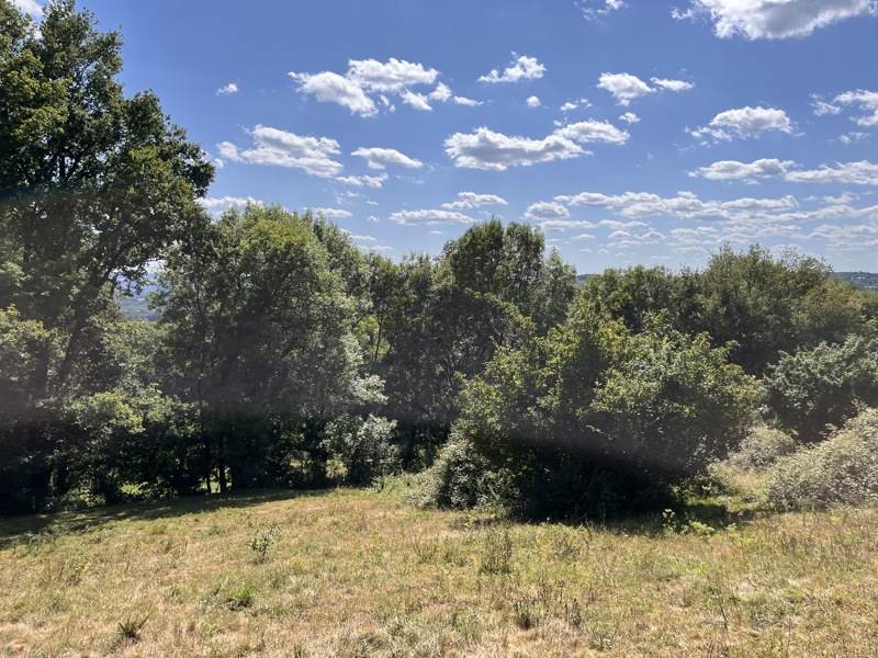 Vente Terrain ALTILLAC - -2800 m² - (19120)