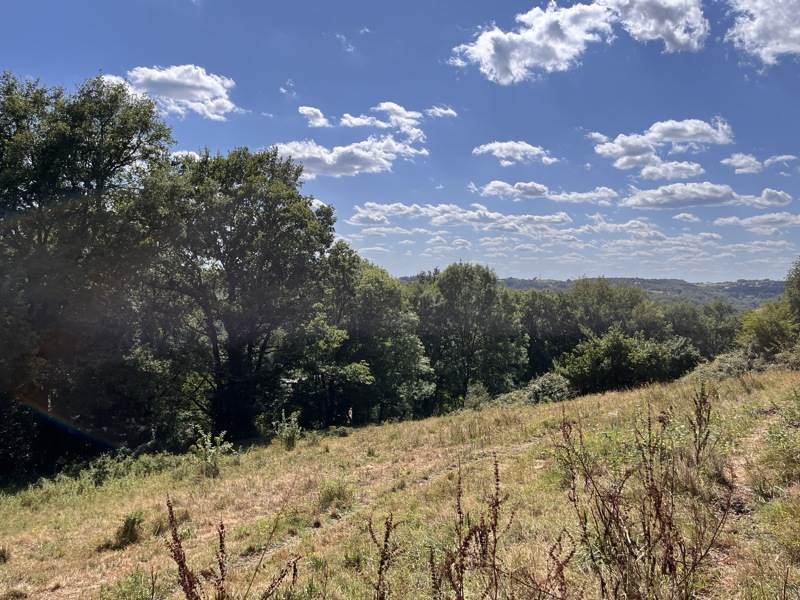 Vente Terrain ALTILLAC - -2800 m² - (19120)