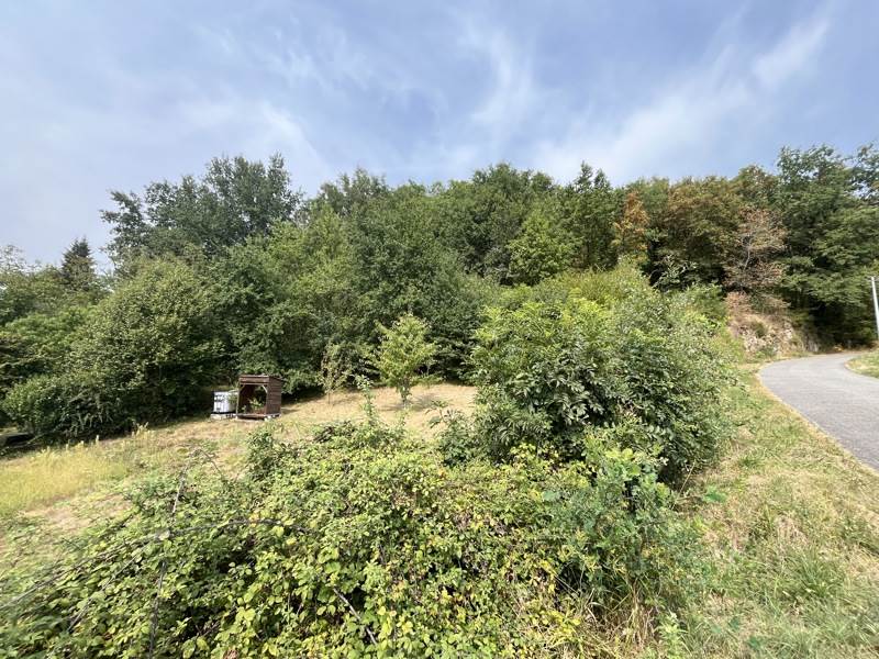Vente Terrain BEAULIEU SUR DORDOGNE - -6560 m² - (19120)