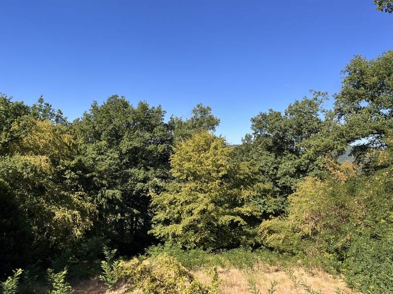 Vente Maison BEAULIEU SUR DORDOGNE - 3 pièces -65 m² - (19120)
