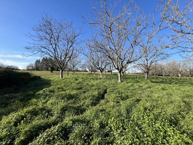 Vente Terrain LIOURDRES - -1328 m² - (19120)