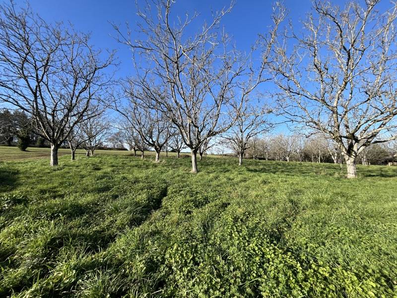 Vente Terrain LIOURDRES - -1328 m² - (19120)