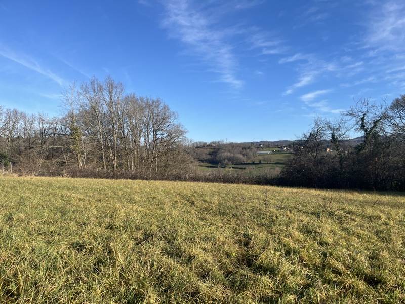 Vente Terrain ASTAILLAC - -5100 m² - (19120)