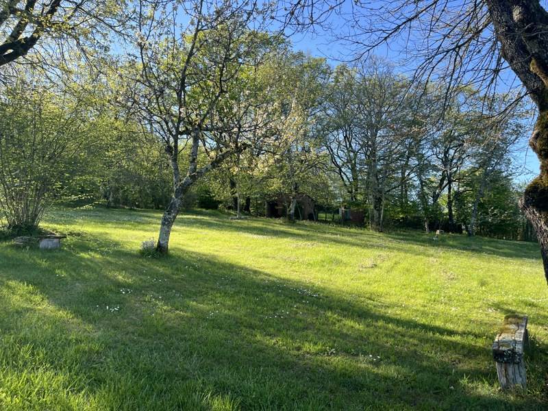 Vente Maison LIOURDRES - 7 pièces -180 m² - (19120)
