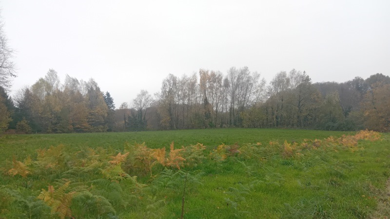 Vente Terrain ST JAL - -8315 m² - (19700)