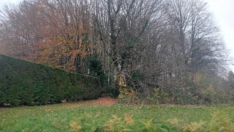 Vente Terrain ST JAL - -8315 m² - (19700)