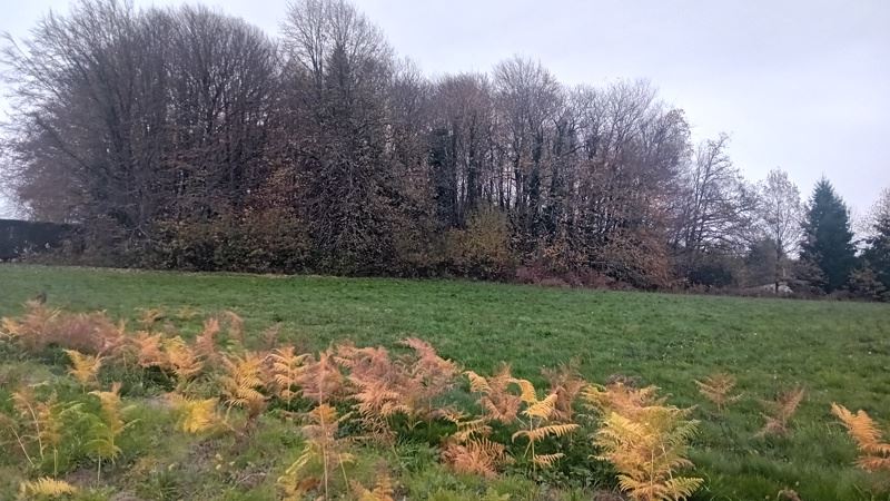 Vente Terrain ST JAL - -8315 m² - (19700)