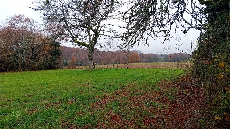 Vente Terrain SALON LA TOUR - -2970 m² - (19510)