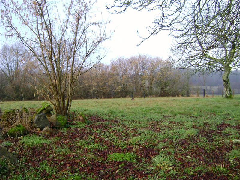 Vente Terrain SALON LA TOUR - -2970 m² - (19510)