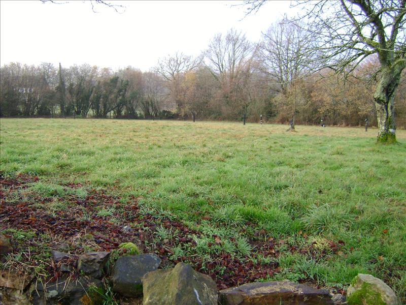Vente Terrain SALON LA TOUR - -2970 m² - (19510)