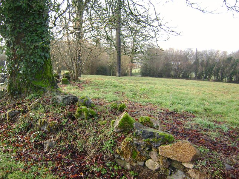 Vente Terrain SALON LA TOUR - -2970 m² - (19510)