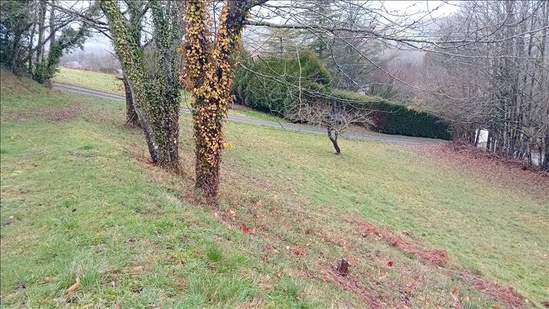 Vente Terrain MASSERET - -3620 m² - (19510)